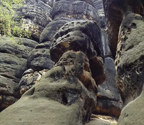 Paul Apartment Pirna